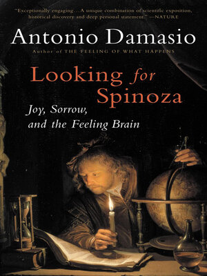 cover image of Looking for Spinoza